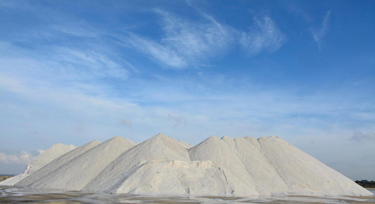 La sal de El Puerto con más de 14.000 usos, reconocida como oro blanco de máxima calidad, pone de relieve el protagonismo de las empresas productoras de nuestra tierra