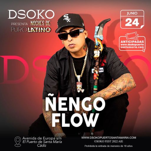 DSOKO - Concierto de ÑENGO FLOW
