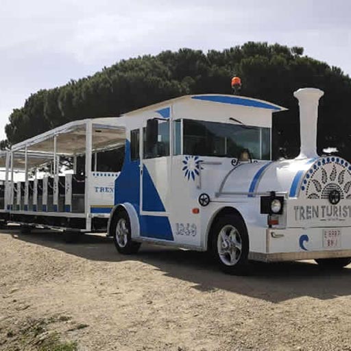 Tren a Playa de Levante
