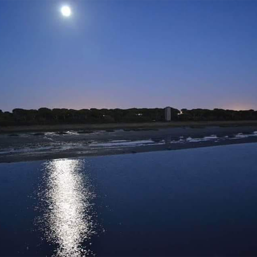 Ruta Nocturna Interpretada Los Toruños y Pinar de la Algaida