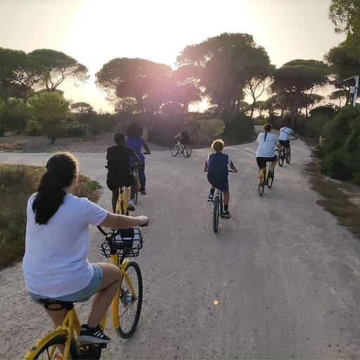 Ruta Histórica en Bicicleta Los Toruños y Pinar de la Algaida
