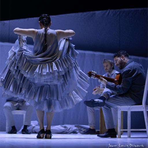 Danza Flamenca - `Creaviva´ Danza Flamenca - `Creaviva´