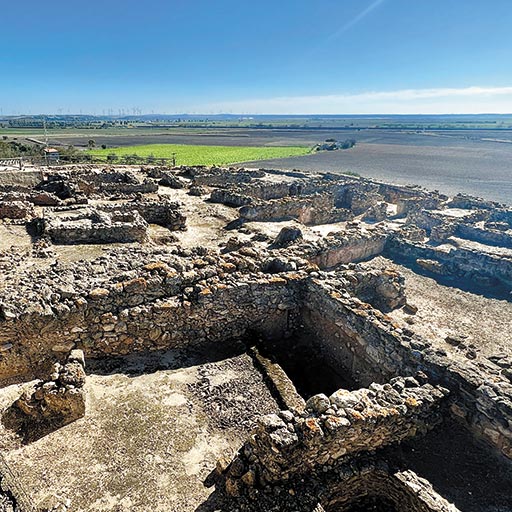 Visita Guiada al Yacimiento Arqueológico de Doña Blanca Visita Guiada al Yacimiento Arqueológico de Doña Blanca