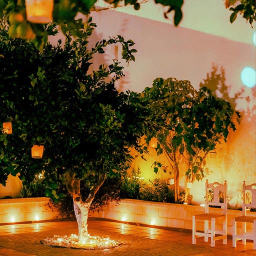 IV Edición Patios de El Puerto a la luz de las mariposas