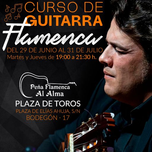 Curso de Guitarra Flamenca