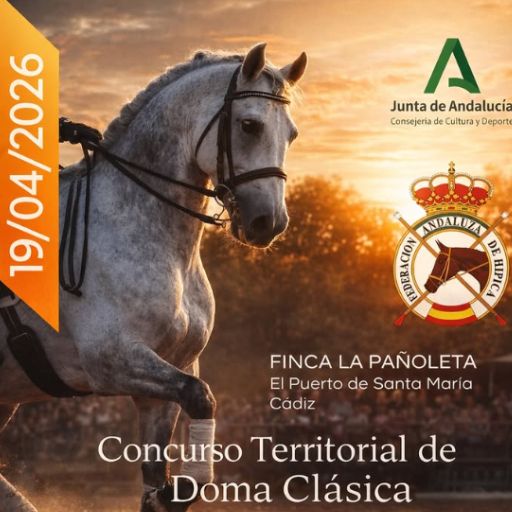 Concurso Territorial de Doma Clásica
