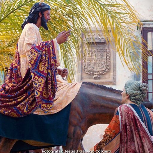 Semana Santa 2026 - Domingo de Ramos - La Borriquita
