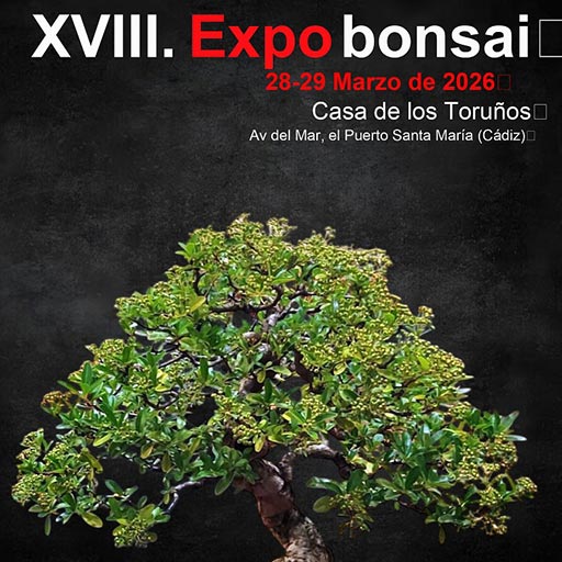 XVIII Expo Bonsai en Parque de Los Toruños
