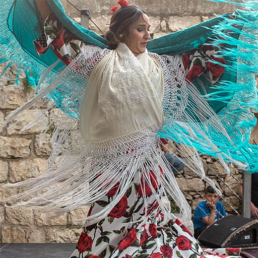 VI Jornadas del Cante de Cádiz y El Puerto