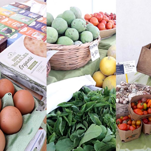 Mercado Artesanal y Agroalimentario en Parque de Los Toruños