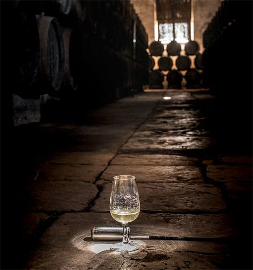 La Cuna del Vino Fino