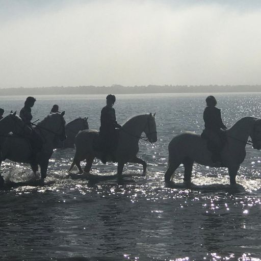 ESCUELA HÍPICA LA CUADRA