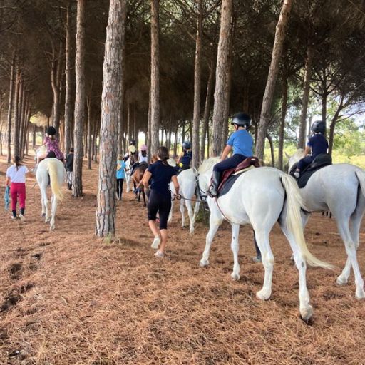 CENTRO HÍPICO LA PAÑOLETA