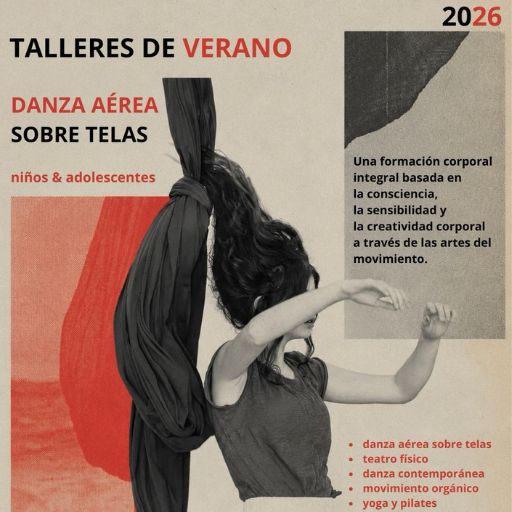 Danza Aérea - Taller de Verano