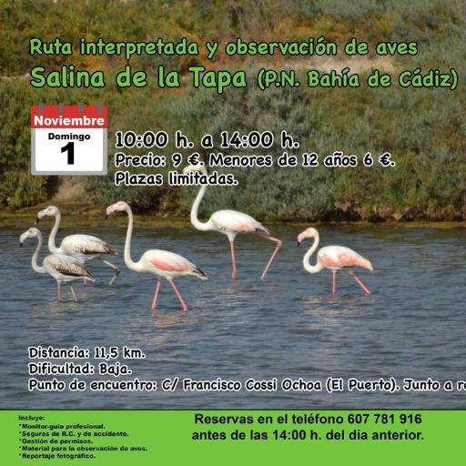 Ruta interpretada y observación de aves Salina de la Tapa