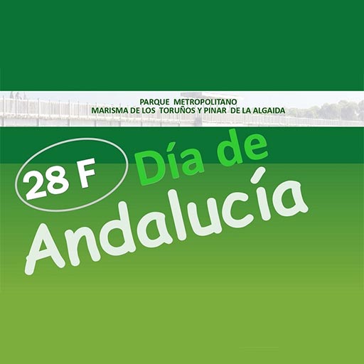 Actividades Día de Andalucía en Parque de Los Toruños
