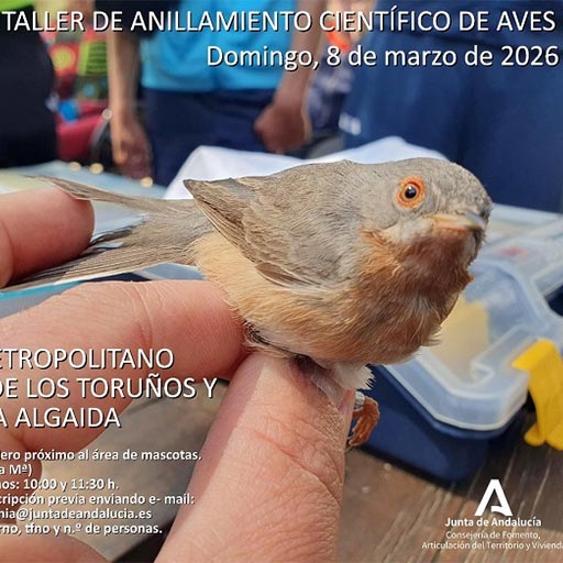 Anillamiento científico de Aves - Demostración
