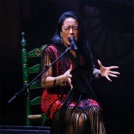 Escena Flamenca - `Susana Romero´