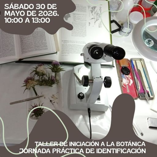 Taller de Iniciación a la Botánica en el Parque de los Toruños