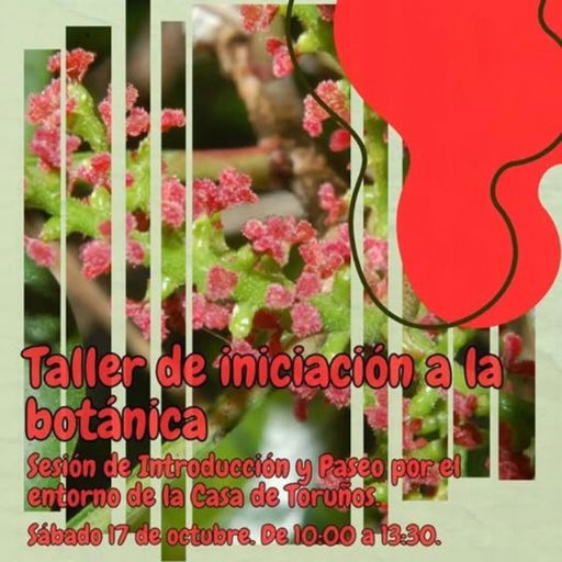 Taller de Iniciación a la Botánica en el Parque de los Toruños