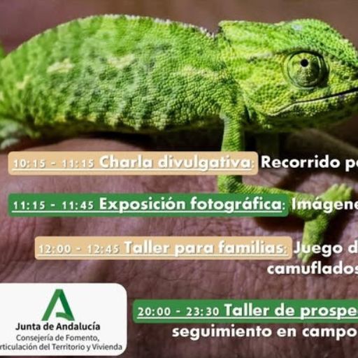 Día Internacional de los Camaleones en Los Toruños